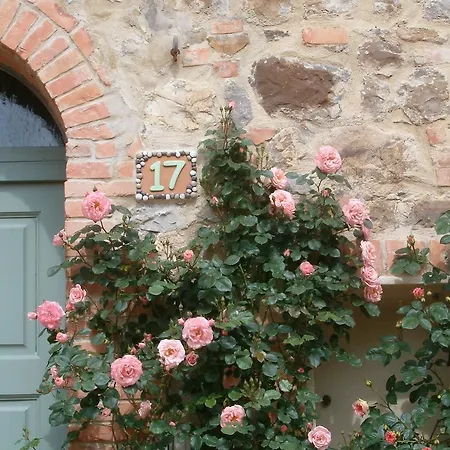 Casale Del Leccio Grande