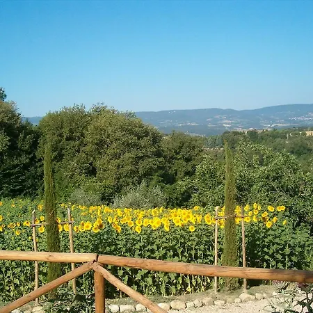 Bed & Breakfast Casale Del Leccio Grande *