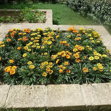 Bed & Breakfast Casale Del Leccio Grande *